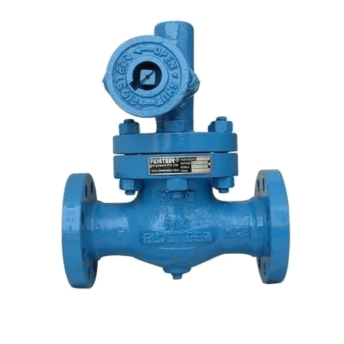 Blow Down Valve