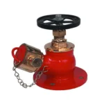 Valves 104 Fire Hydrant Landing Valve