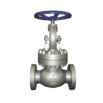 Valves 111 Globe Valve Manufacturer In India