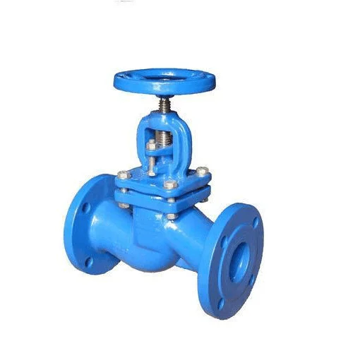 Valves 5 Globe Valve Manufacturer In India