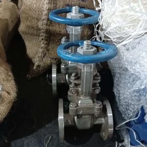 Valves 71 IMG20220927175713